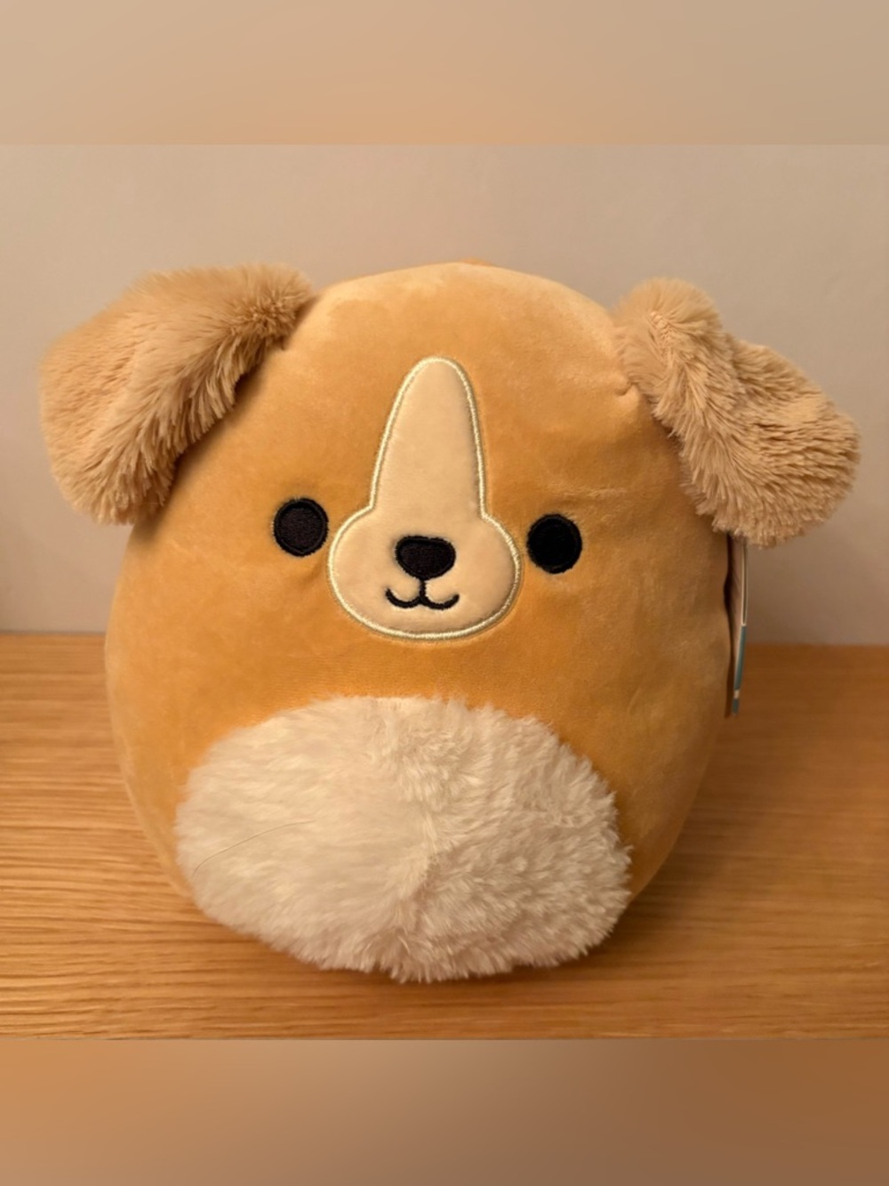 Squishmallows Stevon the Dog Plush Doll
